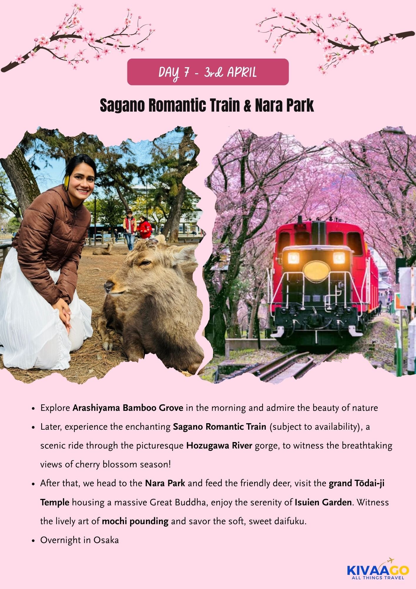 Japan Cherry Blossom Group Trip