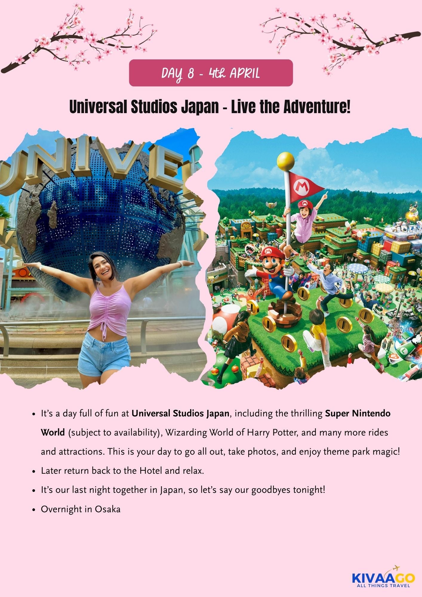 Japan Cherry Blossom Group Trip