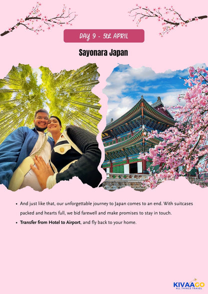 Japan Cherry Blossom Group Trip