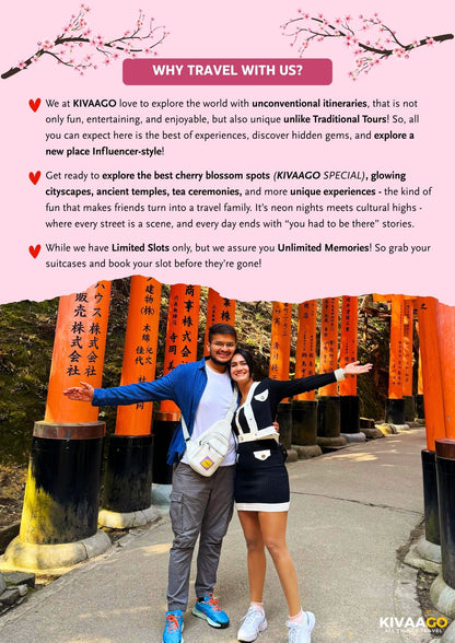 Japan Cherry Blossom Group Trip