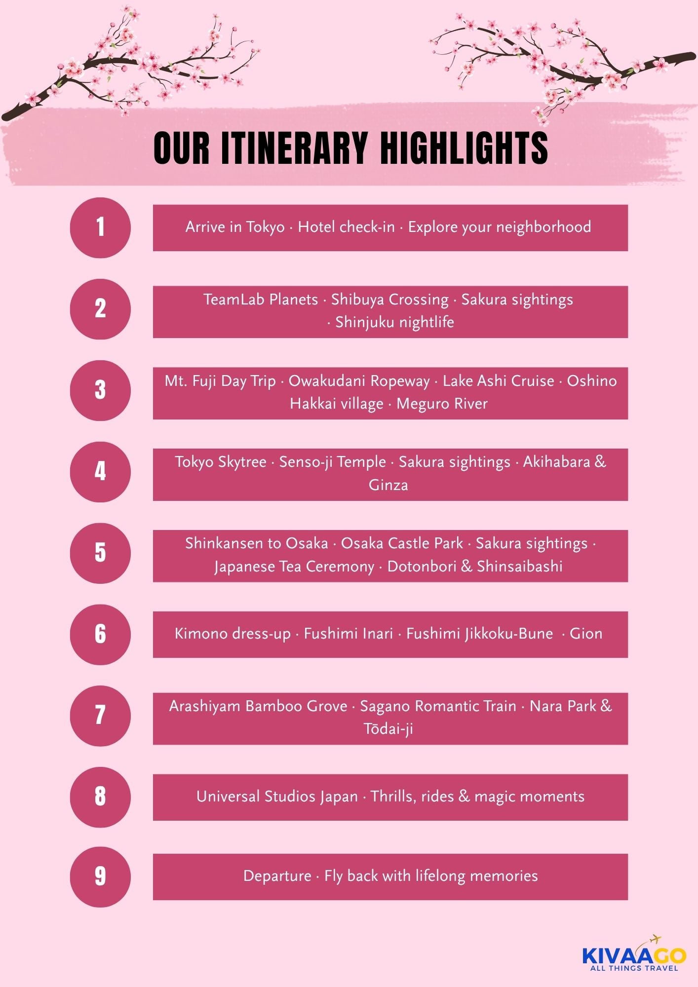 Japan Cherry Blossom Group Trip