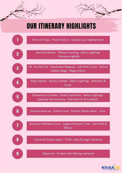 Japan Cherry Blossom Group Trip