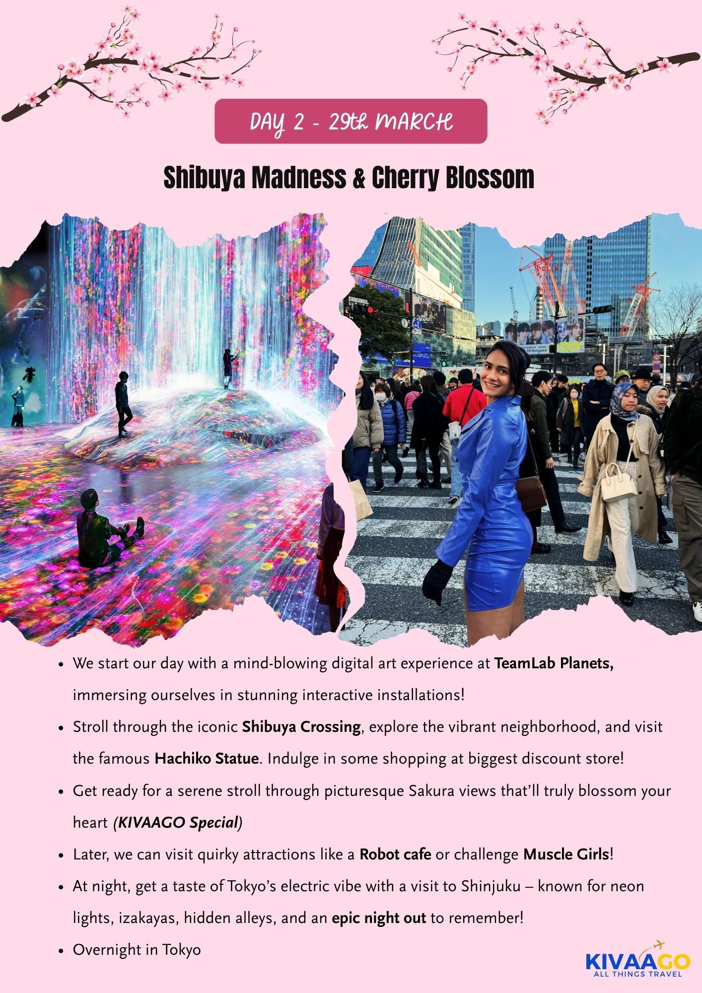 Japan Cherry Blossom Group Trip