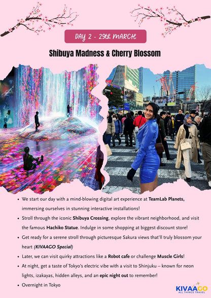 Japan Cherry Blossom Group Trip