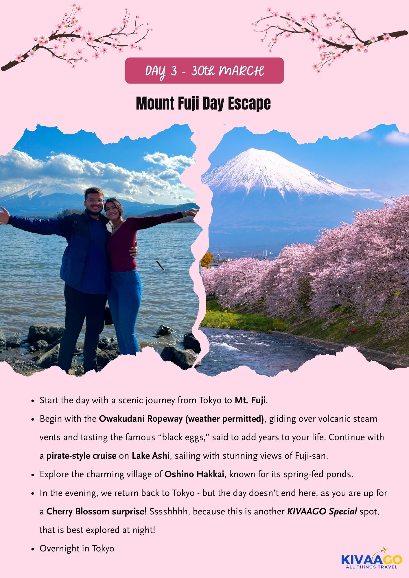 Japan Cherry Blossom Group Trip