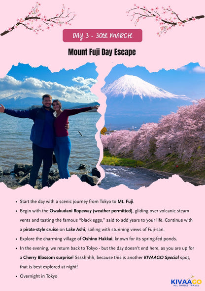 Japan Cherry Blossom Group Trip