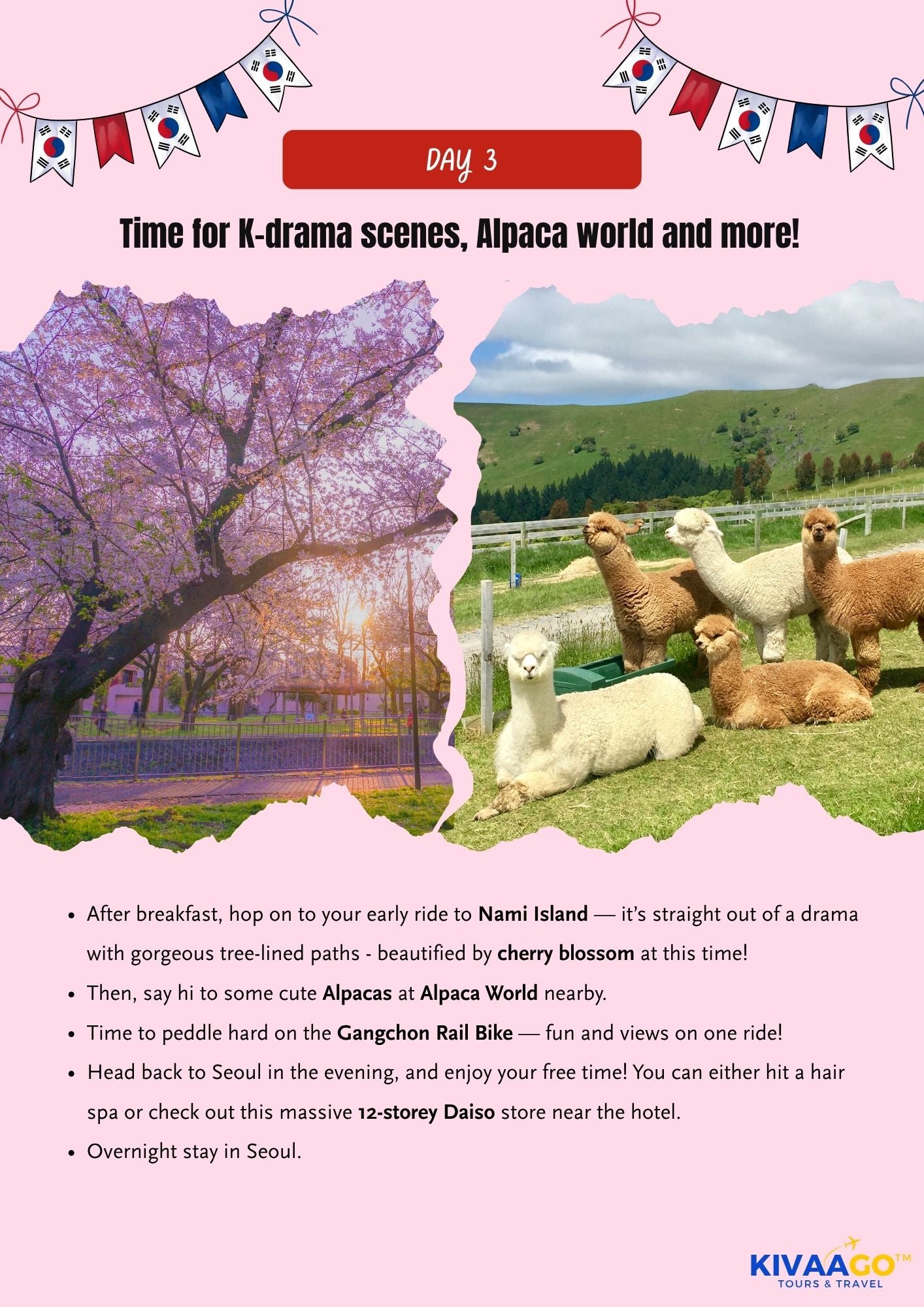 South Korea All Girls Cherry Blossom