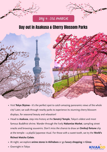 Japan Cherry Blossom Group Trip