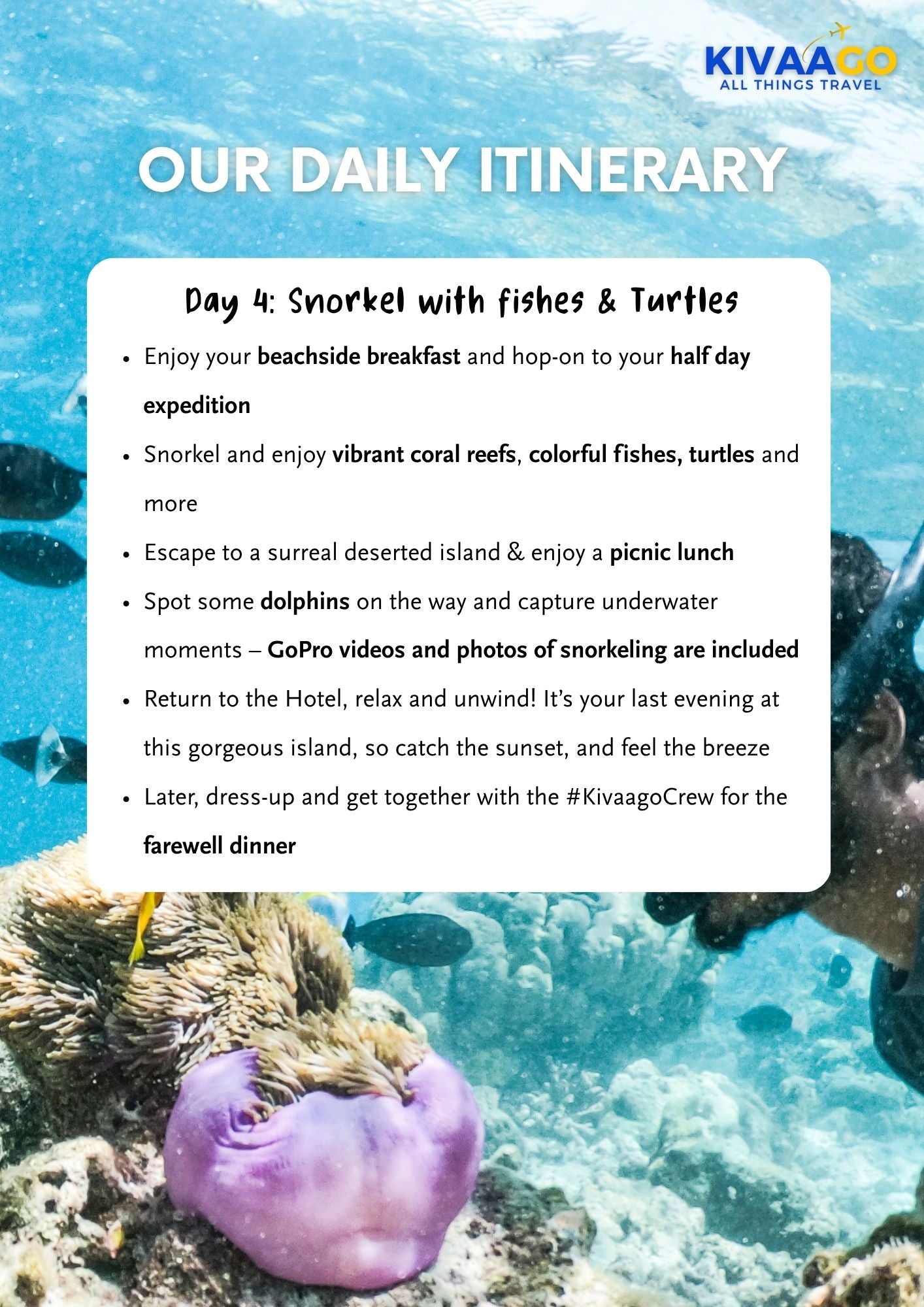 Maldives All Girls Group Trip