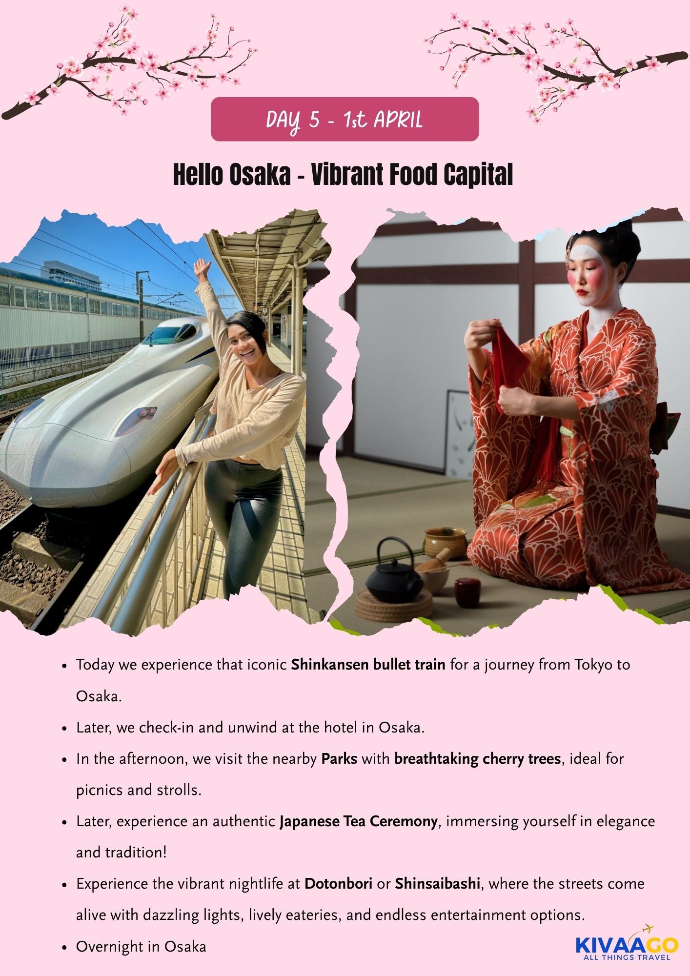 Japan Cherry Blossom Group Trip