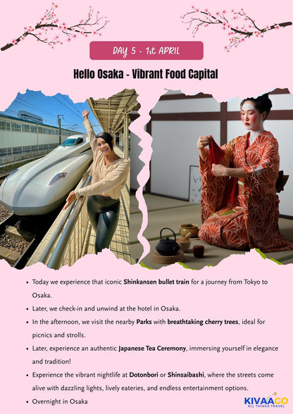 Japan Cherry Blossom Group Trip