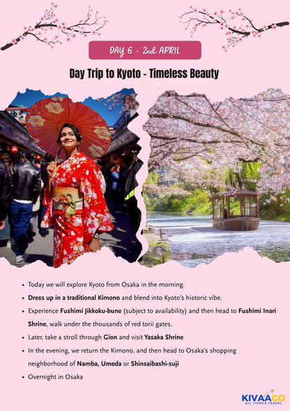 Japan Cherry Blossom Group Trip